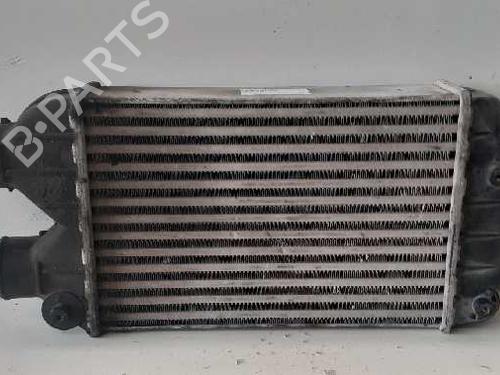 Intercooler FIAT MULTIPLA (186_) 1.9 JTD 110 (110 hp) 12700257