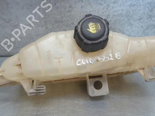 Expansion tank RENAULT CLIO III (BR0/1, CR0/1) 1.2 16V (BR0R, BR1D, BR1L, CR0R) | BP12720566C120 
