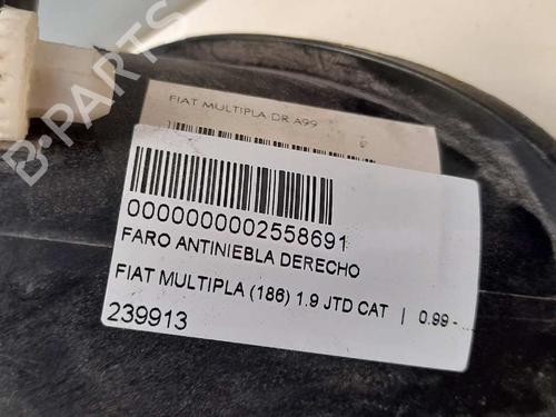 Right headlight FIAT MULTIPLA (186_) 1.9 JTD 105 (186AXB1A) | BP12765742C29 