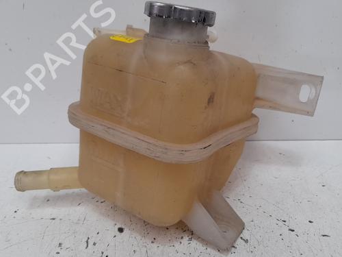 Expansion tank RENAULT KOLEOS I (HY_) 2.0 dCi (HY0K) | BP12768300C120 