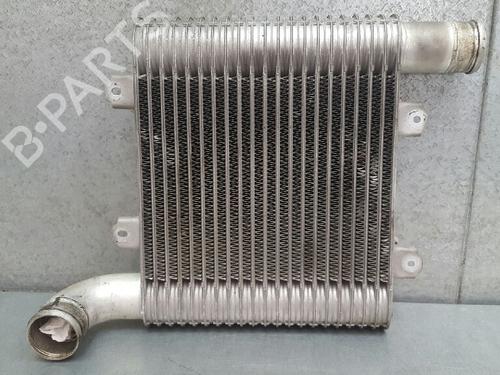 Intercooler KIA CARENS II MPV (FJ) 2.0 CRDi (113 hp) 12741348