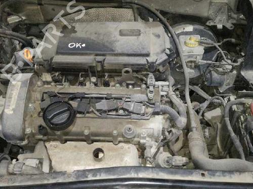 Exhaust system SEAT LEON (1M1) 1.6 16 V | BP13971877M121