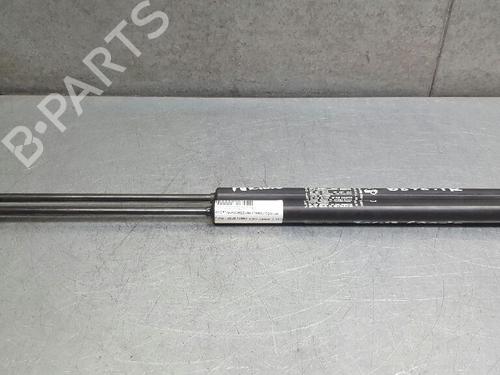 Used Tailgate lift support FORD FOCUS II Convertible 2.0 TDCi (136 hp) 13974938