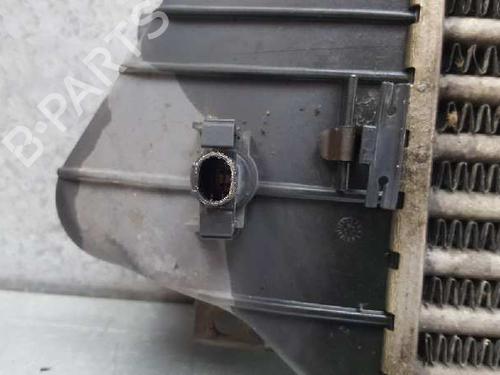 Intercooler MERCEDES-BENZ M-CLASS (W163) ML 270 CDI (163.113) | BP12725828M30 