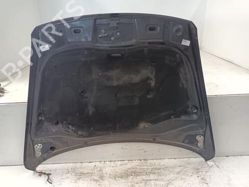 Hood VW TOUAREG (7LA, 7L6, 7L7) 2.5 R5 TDI | BP18842090C1 