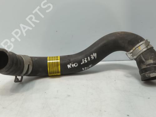 Andre KIA RIO IV (YB, SC, FB) | BP31210156O1