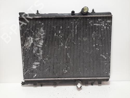 Køler PEUGEOT 307 (3A/C) 1.4 HDi (68 hp) 12784969
