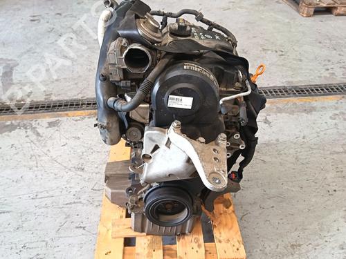 Engine SEAT IBIZA III (6L1)  | BP38462661M1  - Image 5