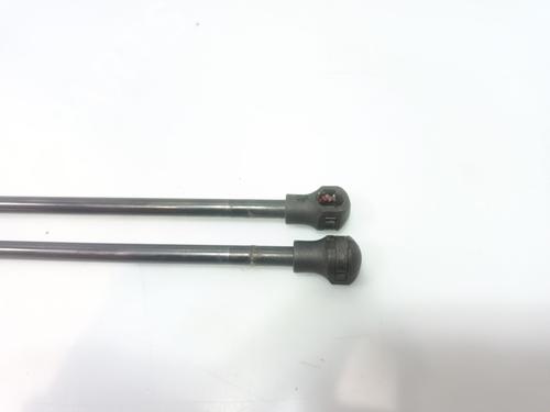 Tailgate lift support CITROËN XSARA PICASSO (N68) 1.6 16V | BP29511199C138 
