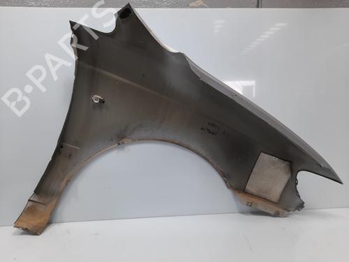 Left front fenders HYUNDAI TRAJET (FO) 2.0 CRDi | BP19645816C41 