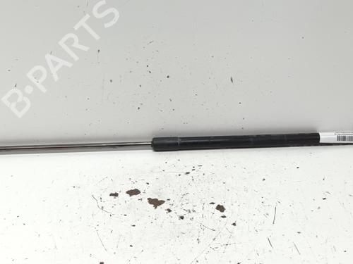 Used Hood lift support RENAULT MEGANE III Grandtour (KZ0/1) 1.5 dCi (KZ09, KZ0D, KZ1G, KZ29, KZ14, KZ1W, KZ10, KZ1F,... (110 hp) 15986799