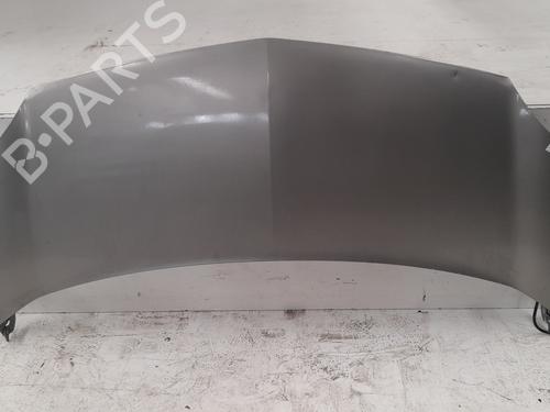 Used Hood RENAULT KANGOO / GRAND KANGOO II (KW0/1_) 1.5 dCi 85 (KW0K, KW0L, KW0B) (86 hp) 12738590