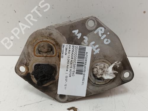 Oil radiator KIA RIO II (JB) 1.5 CRDi | BP17088226M33 
