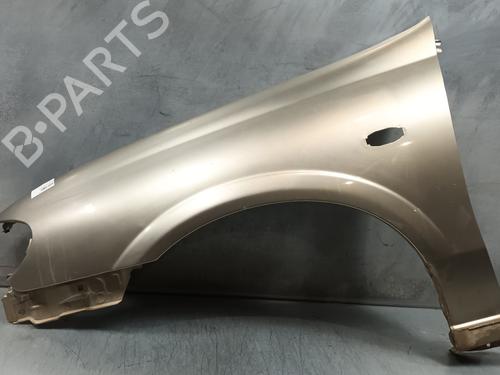 Left front fenders NISSAN ALMERA II Hatchback (N16) 1.5 dCi | BP16827791C41 