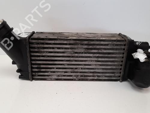 Intercooler CITROËN C4 Grand Picasso I (UA_) 2.0 HDi 138 (136 hp) 9656525880 | 9656525880 |