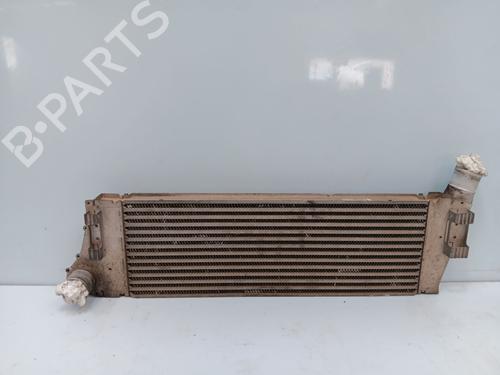 Intercooler Intercooler RENAULT SCÉNIC II (JM0/1_) [2003-2010] 36433755 36433755
