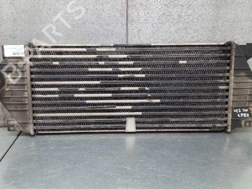 Intercooler MERCEDES-BENZ M-CLASS (W163) ML 270 CDI (163.113) | BP12725828M30 