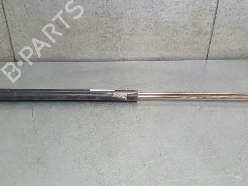 BP13985835C138 main image