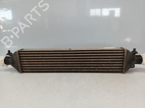 Used Intercooler FIAT BRAVO II (198_) 1.4 16V (198AXS1B) (140 hp) 22220321