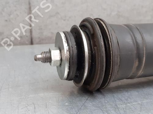 Højre bagtil støddæmper TOYOTA YARIS (_P9_)  | BP12749812M19 