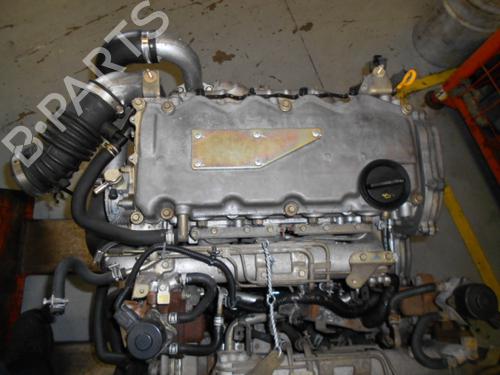 Motor für NISSAN ALMERA II Hatchback (N16) 2.2 Di (110 hp) 12151345