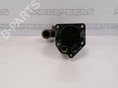 Egr RENAULT MEGANE II (BM0/1_, CM0/1_)  | BP12299050M69 