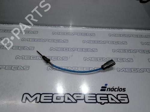 Elektronensonde für FORD FIESTA VI (CB1, CCN) 1.5 TDCi (75 hp) 12304165