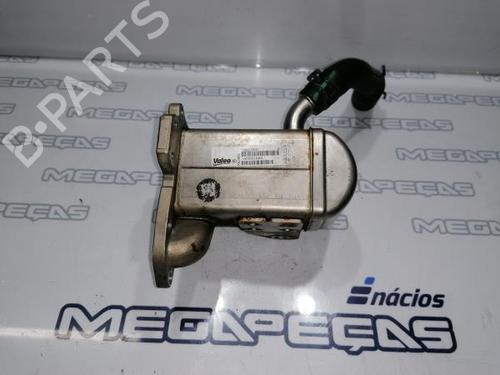 EGR-Ventil RENAULT MEGANE III Hatchback (BZ0/1_, B3_) 1.9 dCi (BZ0N, BZ0J) (131 hp) 12299216