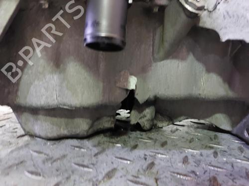 Engine DACIA SANDERO II 1.5 dCi 75 / Blue dCi 75 (B8JW, B8M4, B8AH, B8M7, B8M6) | BP12161789M1 