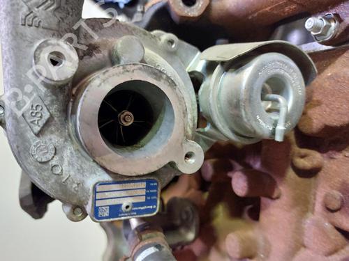 Engine DACIA SANDERO II 1.5 dCi 75 / Blue dCi 75 (B8JW, B8M4, B8AH, B8M7, B8M6) | BP12161789M1 