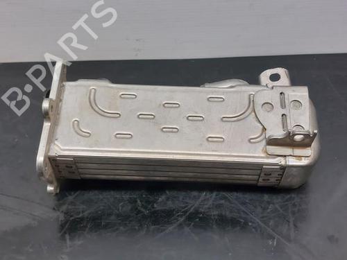 Egr MERCEDES-BENZ A-CLASS (W176) A 220 d 4-matic (176.005) | BP12299435M69 