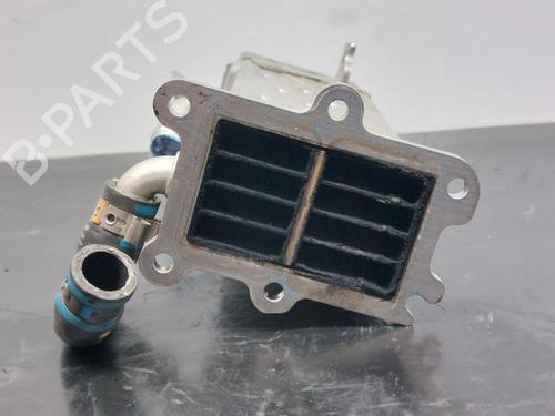 Egr MERCEDES-BENZ A-CLASS (W176) A 220 d 4-matic (176.005) | BP12299435M69 