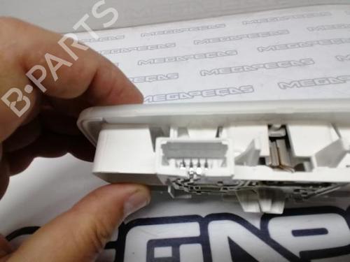 Interior roof light RENAULT SCÉNIC III (JZ0/1_) 1.9 dCi (JZ0J, JZ1J, JZ1K, JZ1S) | BP12163999I8 
