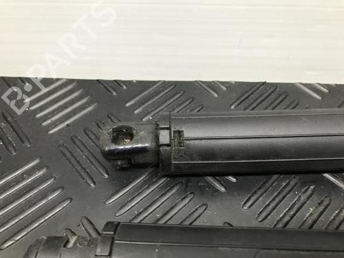 Tailgate lift support BMW X5 (E70) xDrive 35 d | BP14401979C138 