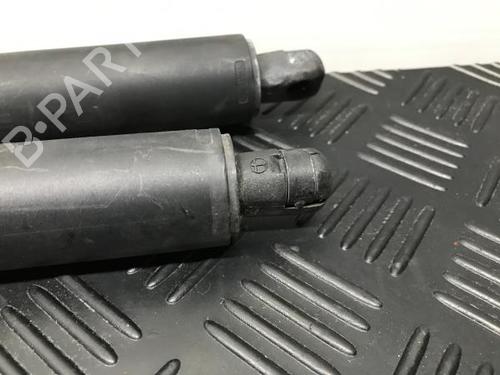 Tailgate lift support BMW X5 (E70) xDrive 35 d | BP14401979C138 