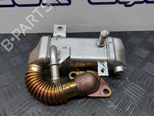Used Egr NISSAN QASHQAI II (J11, J11_) 1.6 dCi (130 hp) 12300358