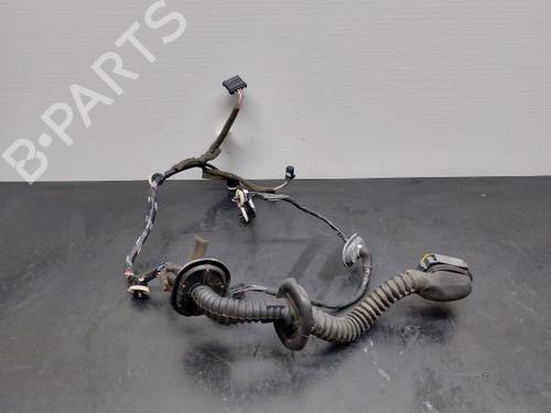 Kabelboom RENAULT MEGANE III Hatchback (BZ0/1_, B3_) 1.5 dCi (BZ0C) (90 hp) 14403715