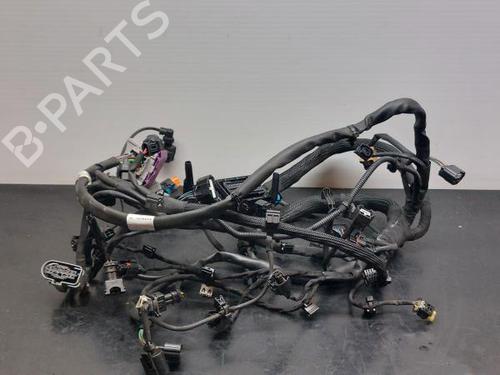 BP14403858E16 main image