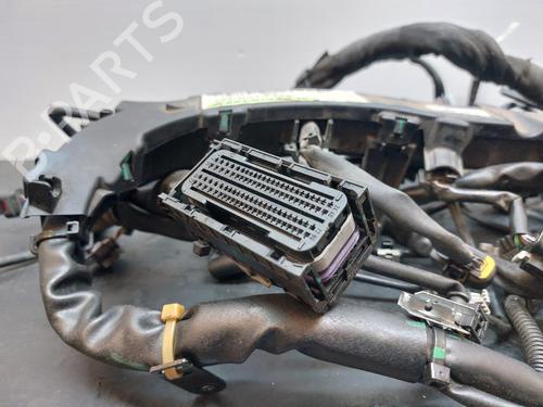 Wiring harness MERCEDES-BENZ B-CLASS Sports Tourer (W246, W242) B 200 CDI (246.201) | BP14404654E16 