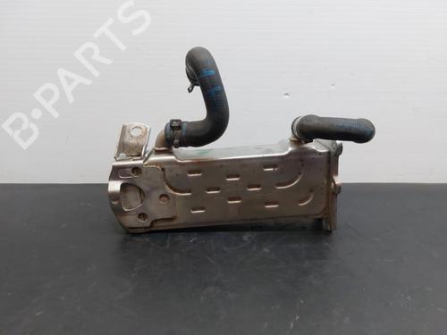 Egr MERCEDES-BENZ A-CLASS (W176) A 200 CDI / d (176.008) | BP13239939M69 