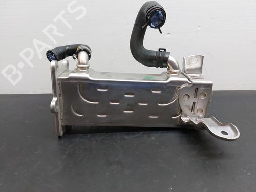 Egr MERCEDES-BENZ A-CLASS (W176) A 200 CDI / d (176.008) | BP13239939M69 