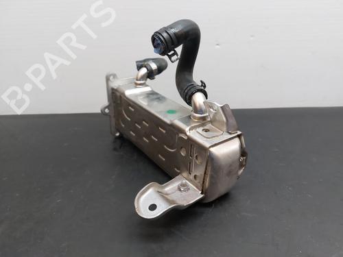 Egr MERCEDES-BENZ A-CLASS (W176) A 200 CDI / d (176.008) | BP13239939M69 