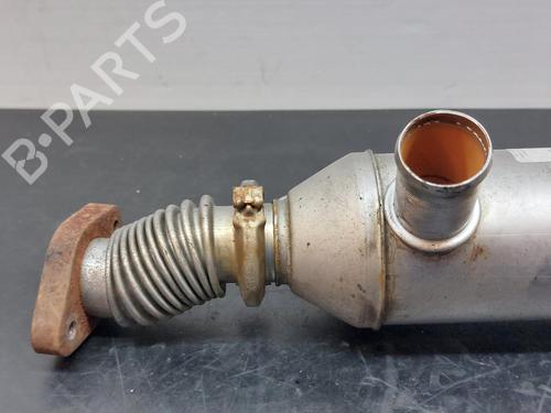 Egr PEUGEOT 406 (8B) 2.0 HDI 110 | BP13610740M69 