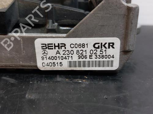 Elektronisk modul MERCEDES-BENZ E-CLASS (W211) E 320 CDI (211.026) | BP13899613M83 