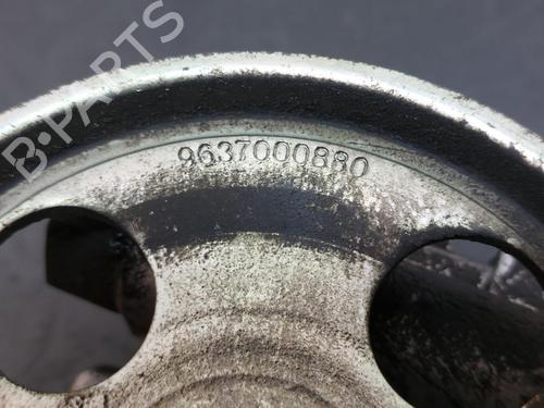 Steering pump PEUGEOT 406 Coupe (8C) 2.2 HDI | BP13905624M99 