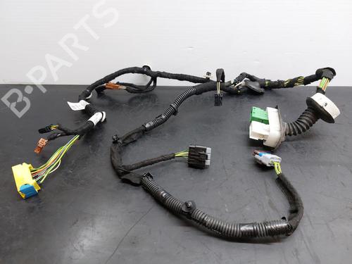 Ledningsnet CITROËN C3 Picasso (SH_) 1.6 HDi (109 hp) 15072548