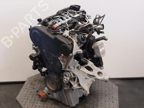 Motor AUDI A4 B8 Avant (8K5) 2.0 TDI (150 hp) 15501876