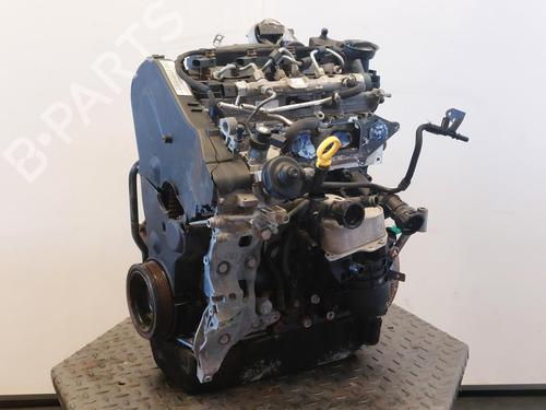 Engine AUDI A3 Sportback (8VA, 8VF) 2.0 TDI | BP15641819M1 