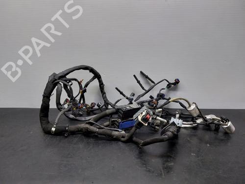 Wiring harness OPEL ASTRA K (B16) 1.5 CRDI (68) 39225101