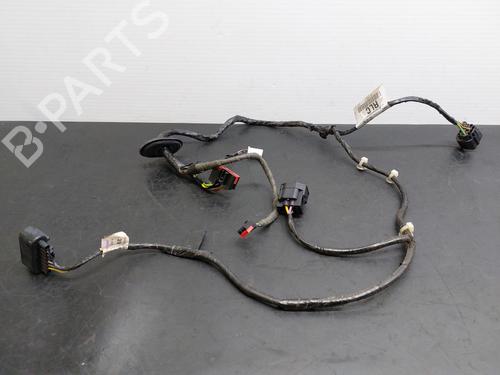 Used Wiring harness FORD GRAND C-MAX (DXA/CB7, DXA/CEU) 2.0 TDCi (140 hp) 16454260